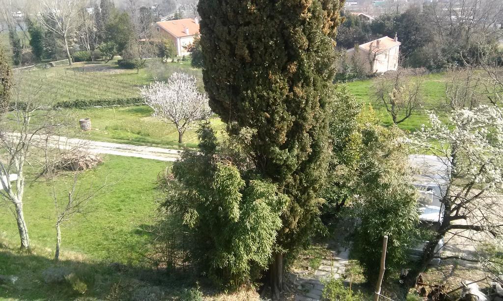 Agriturismo Bosco Fiorito Villa Muggia Exterior photo
